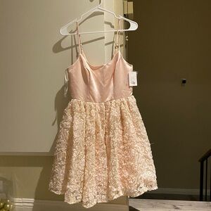 NWT Fifteen Roses light pink formal party dress, size 6